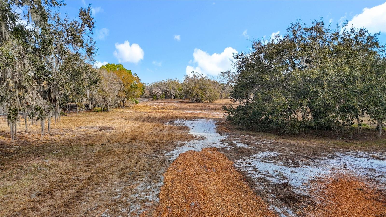 8804 Misty Morning Trl Property Photo 27