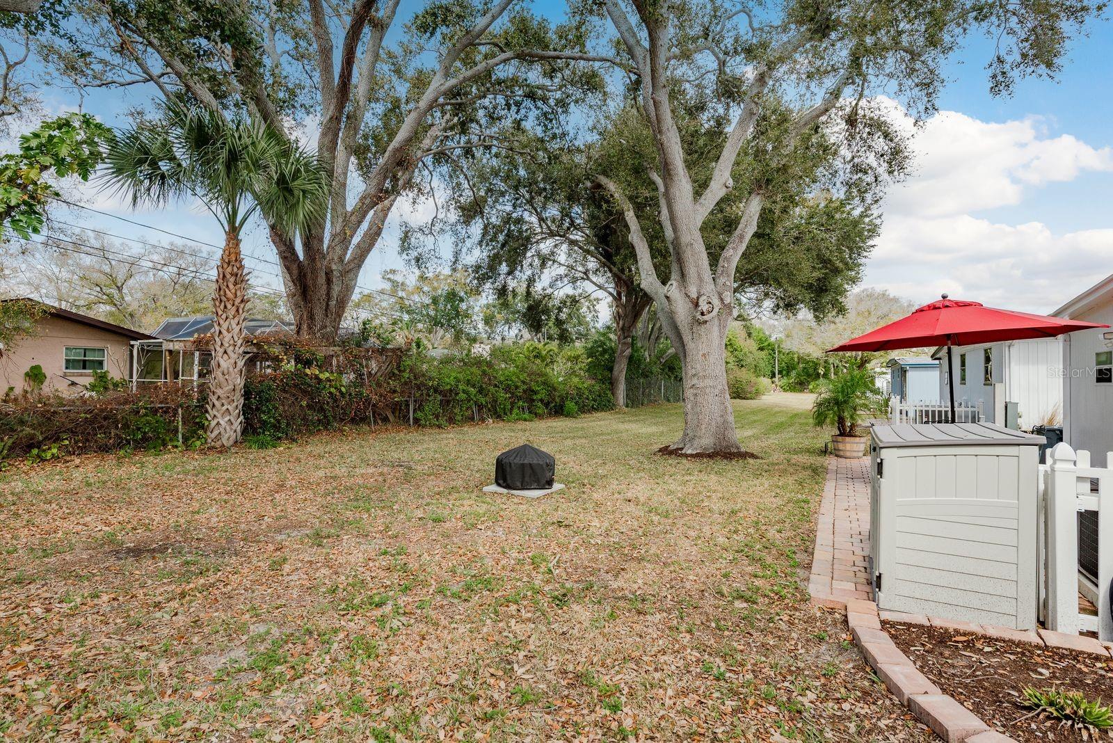 2331 Belleair Rd #906 Property Photo 27