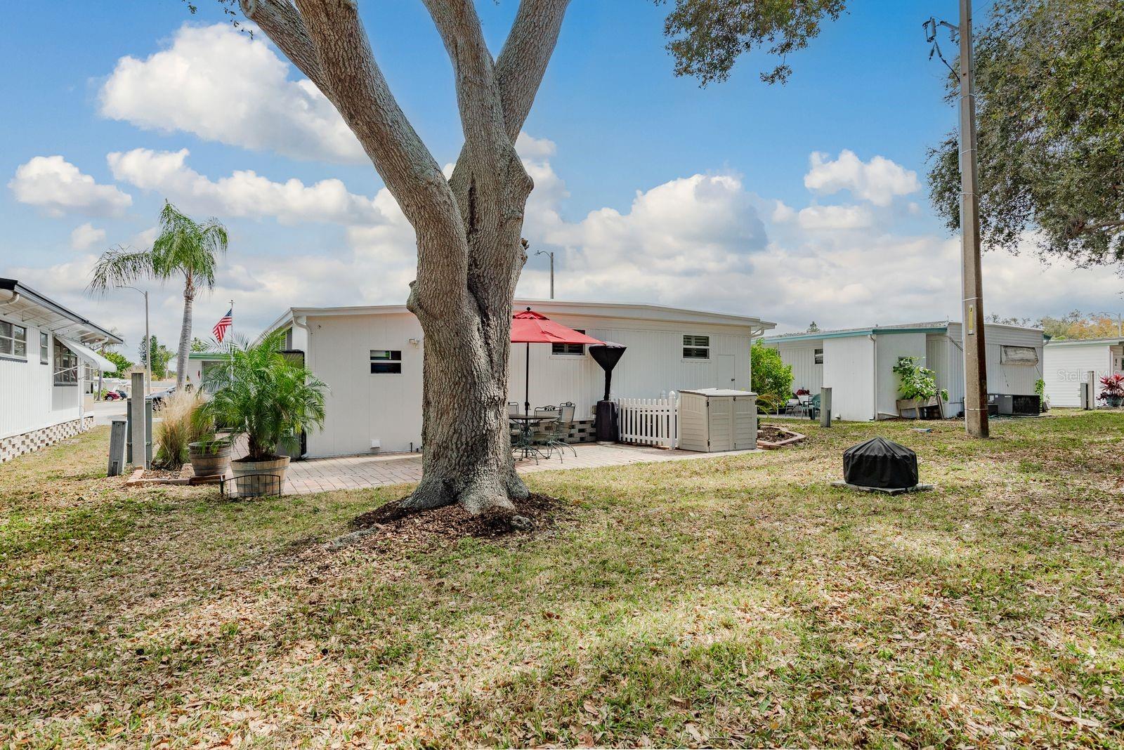 2331 Belleair Rd #906 Property Photo 31