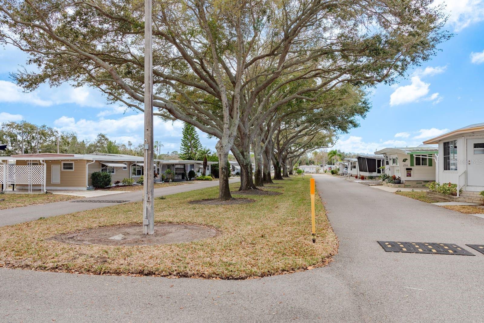 2331 Belleair Rd #906 Property Photo 33