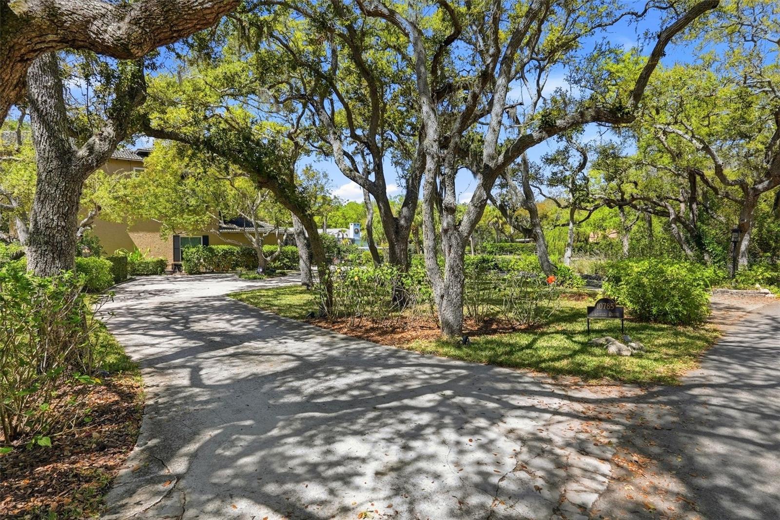 10785 Danielle Dr Property Photo 4