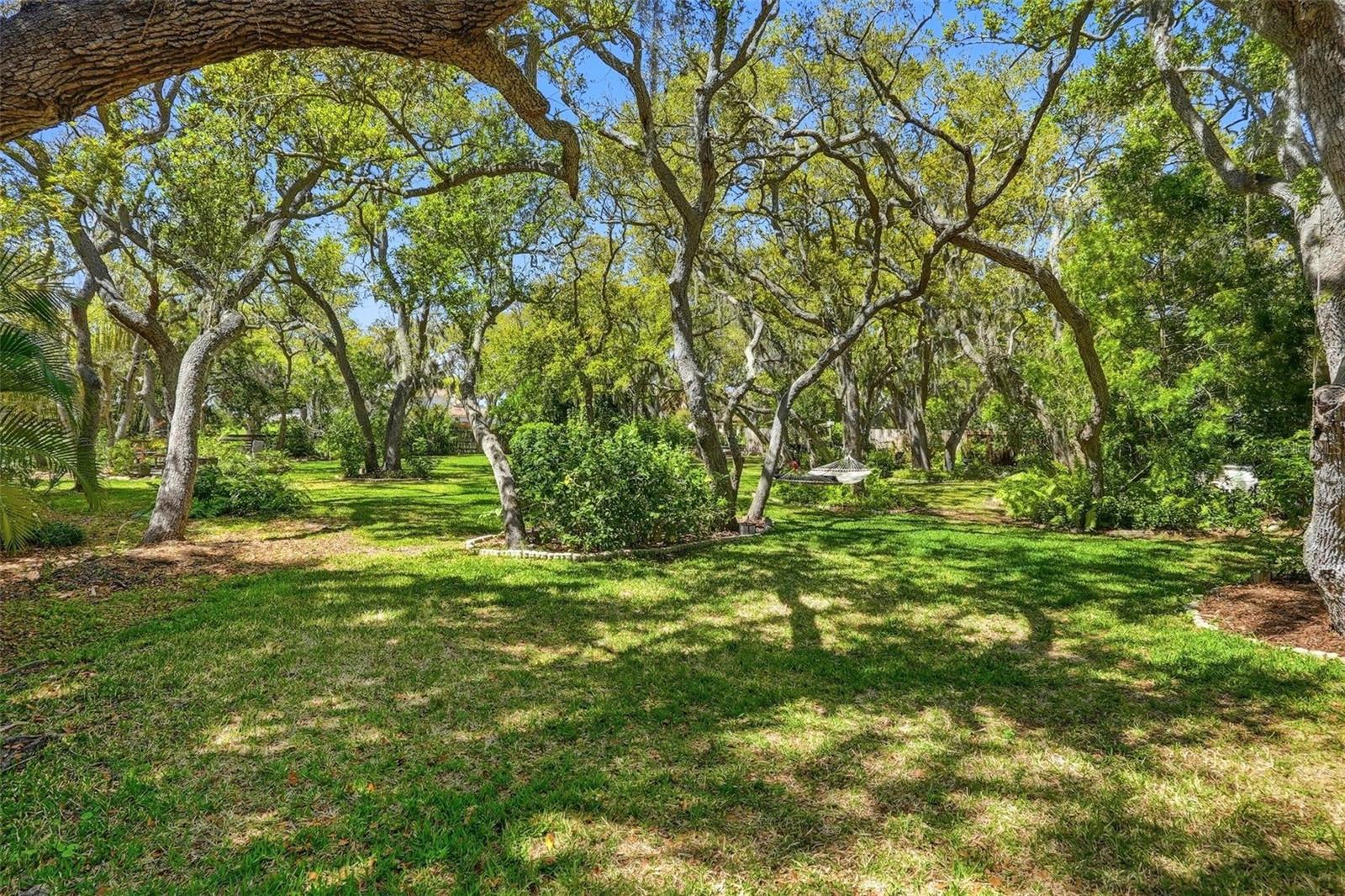 10785 Danielle Dr Property Photo 61