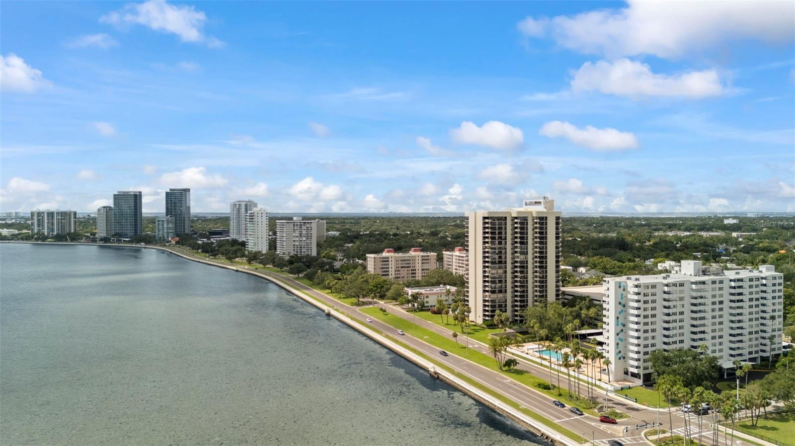 4141 Bayshore Blvd #306 Property Photo 1
