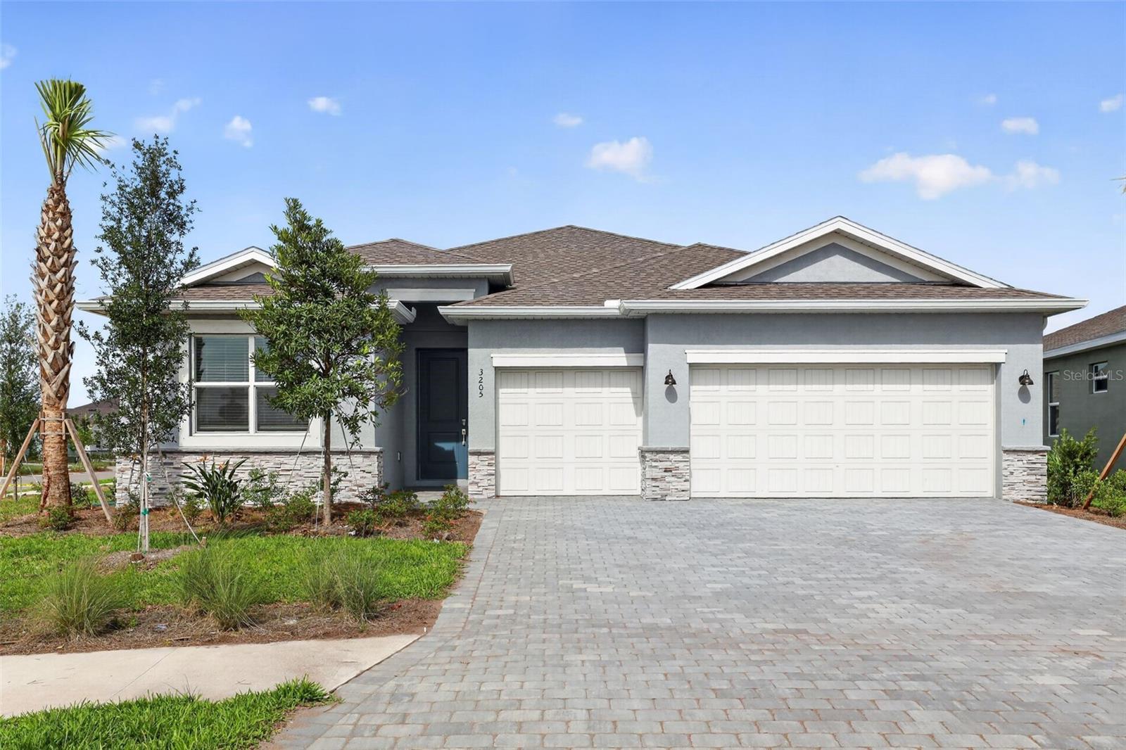3205 PINEBERRY XING Property Photo 1