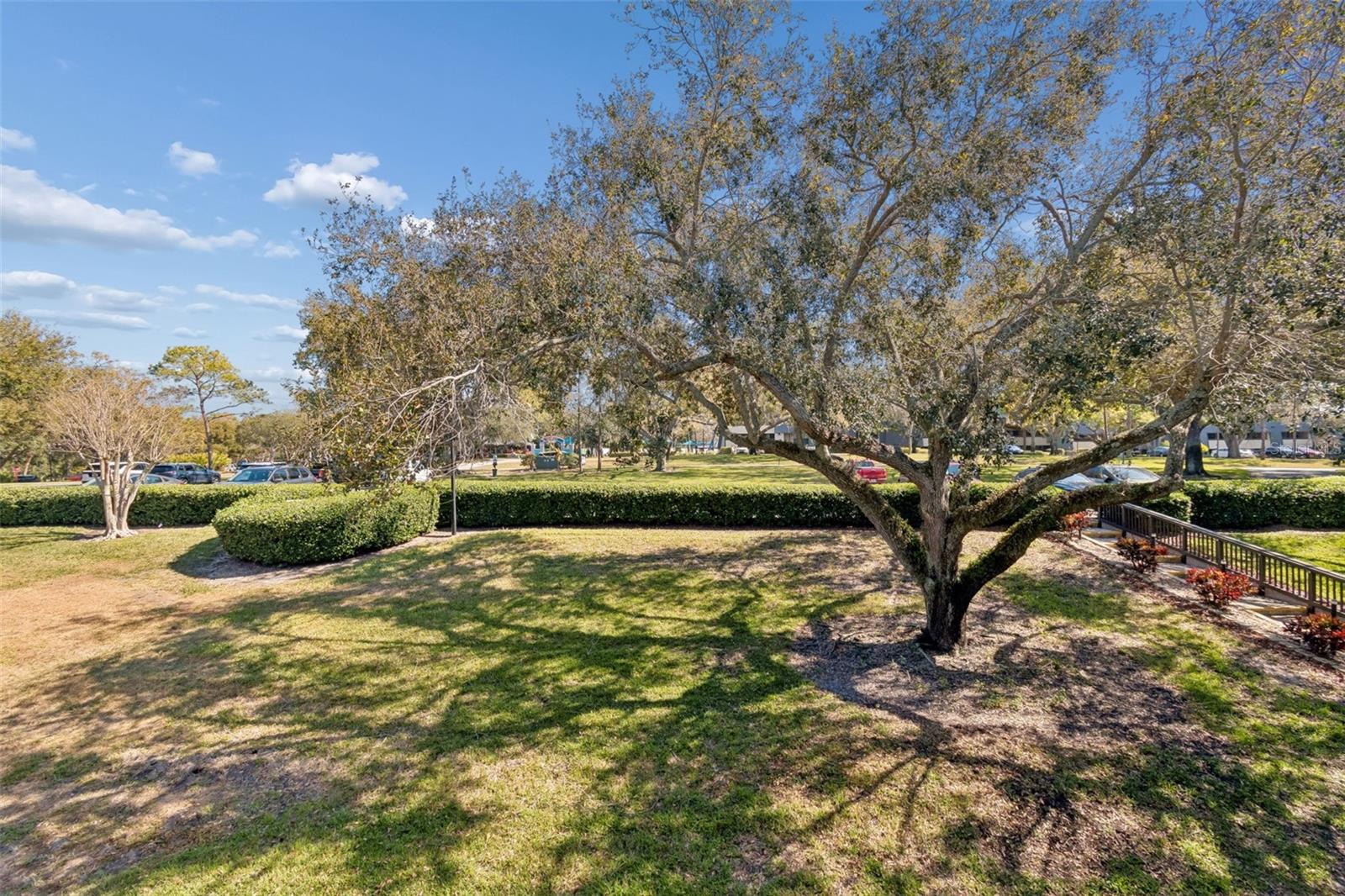 36750 Us Highway 19 N #16210 Property Photo 24