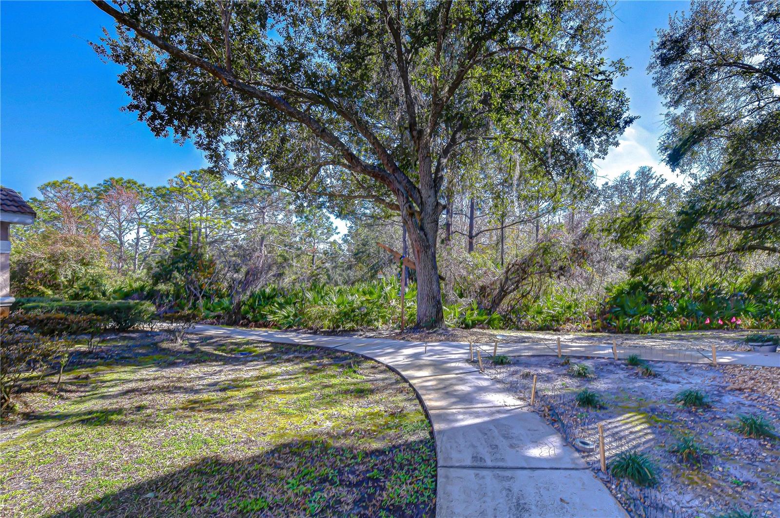 10409 Villa View Cir #10409 Property Photo 38