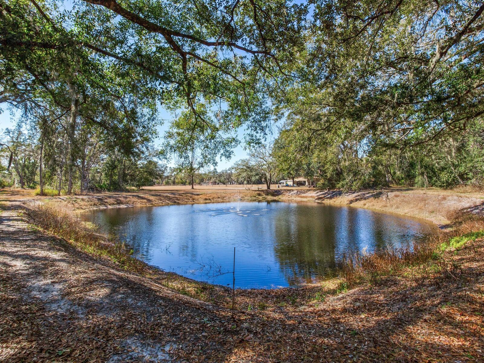 8602 Back Rd Property Photo 6