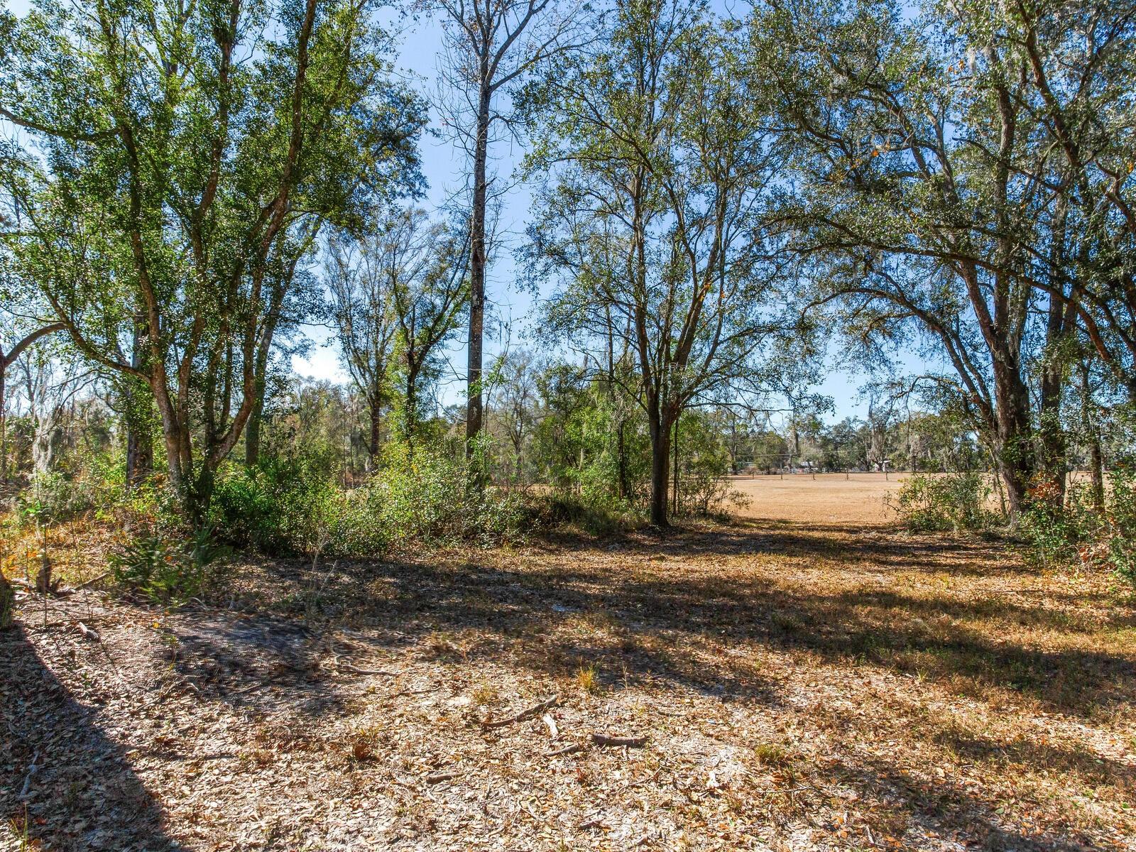 8602 Back Rd Property Photo 11