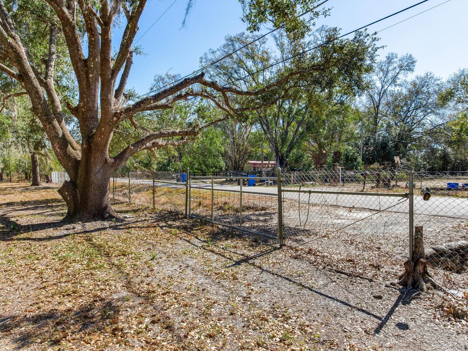 8602 Back Rd Property Photo 17