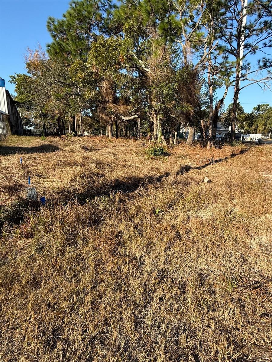 13786 Linden Dr Property Photo 1