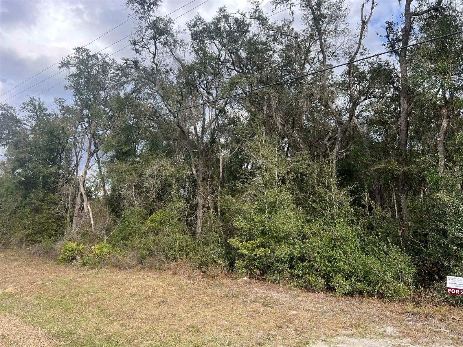 7466 Treiman Blvd Property Photo 2