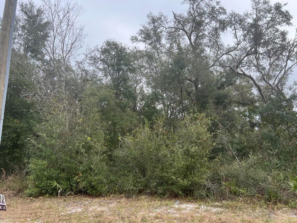 7466 Treiman Blvd Property Photo 3