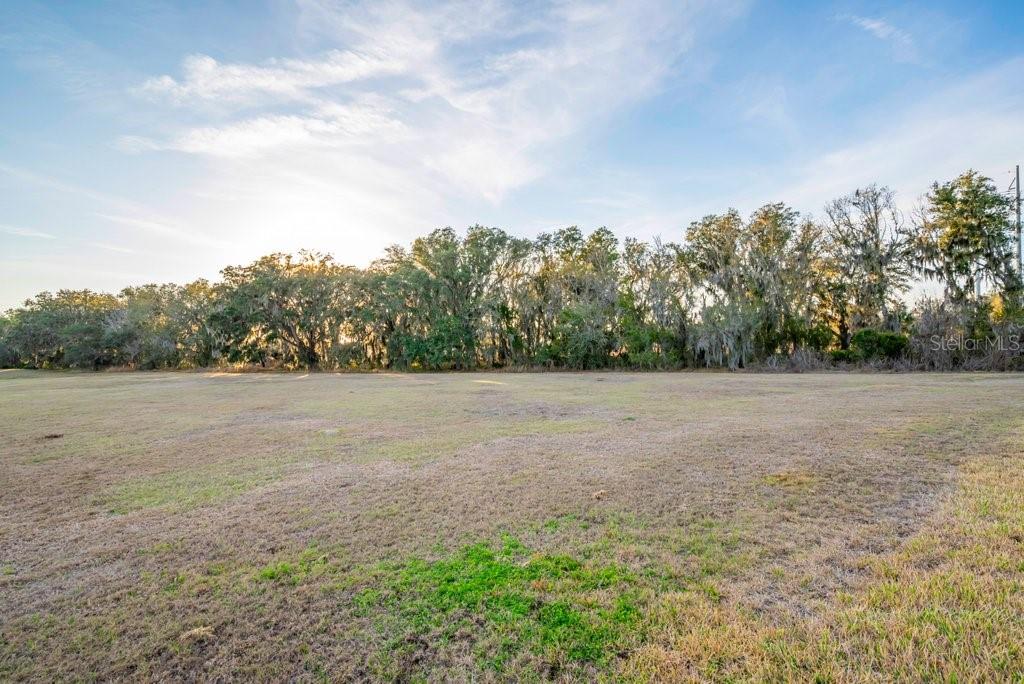 14604 Horse Trot Rd Property Photo 40