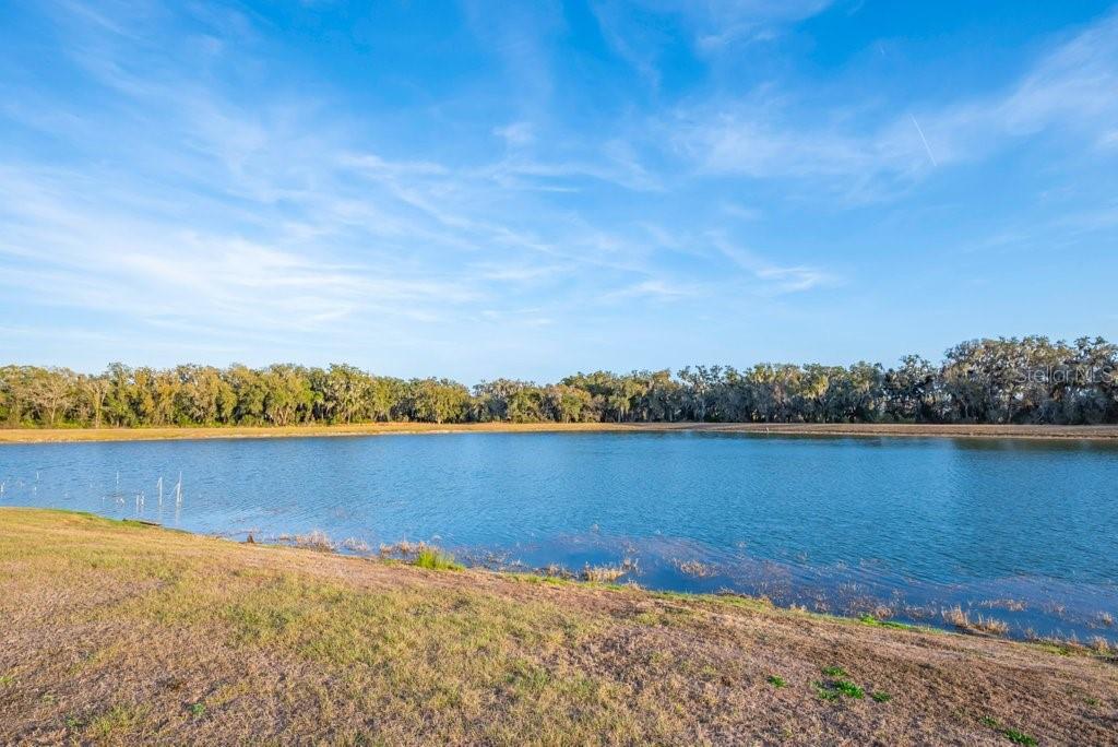 14604 Horse Trot Rd Property Photo 41