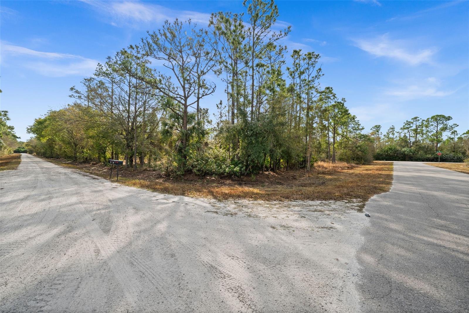 13484 Michilin Ave Property Photo 5