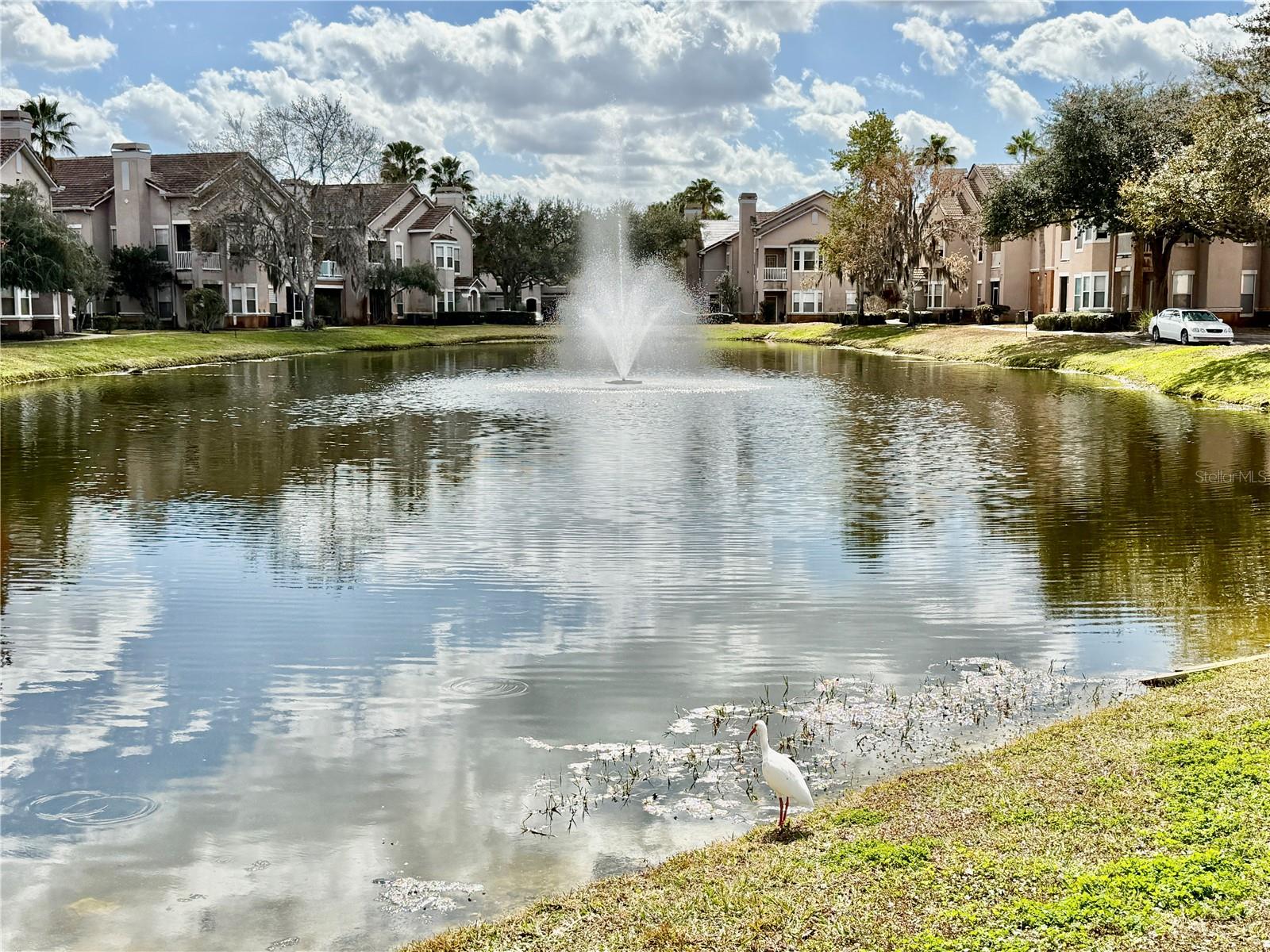 18013 Villa Creek Dr Property Photo 46