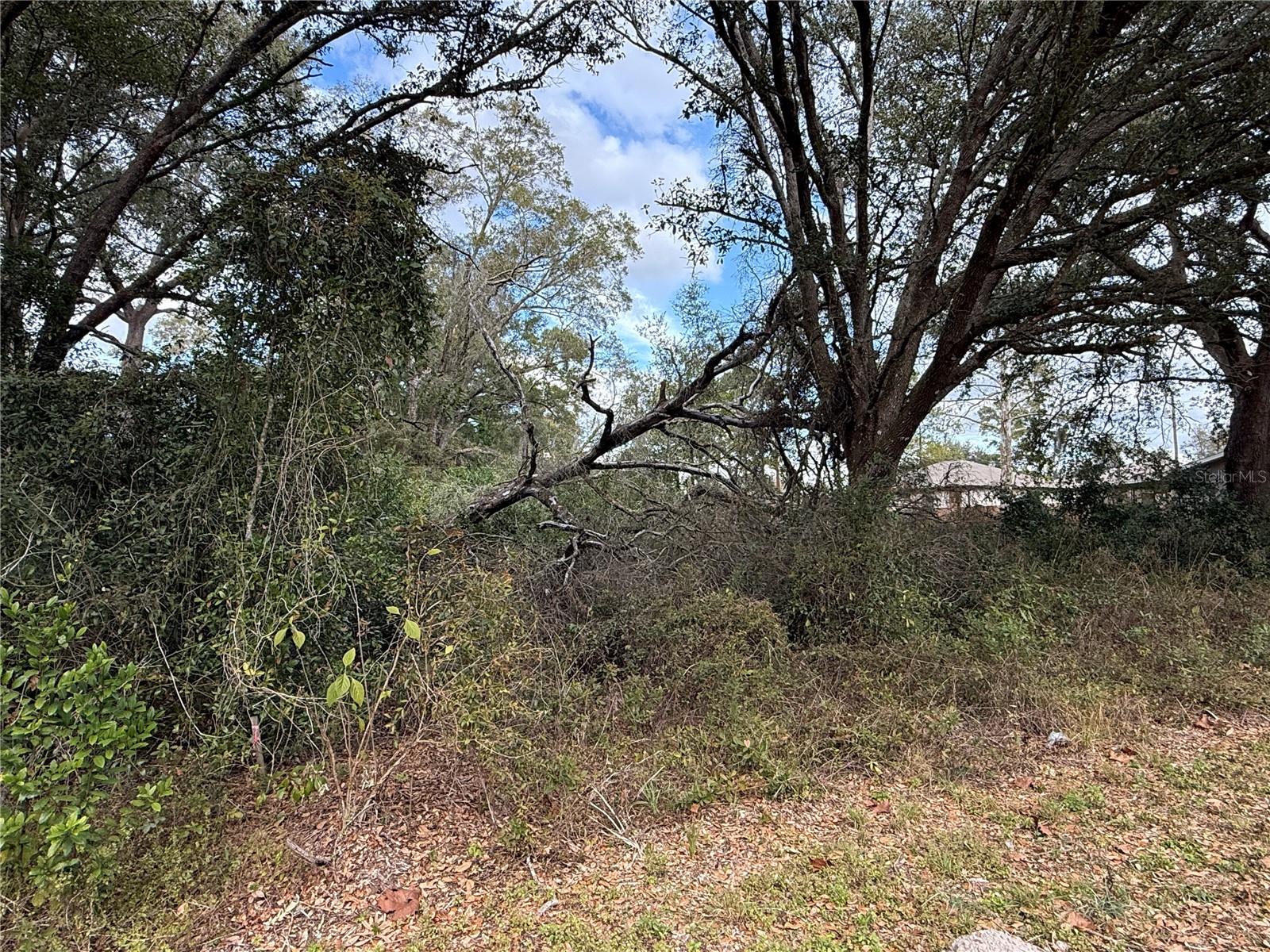 0 Hilda Rd Property Photo 3