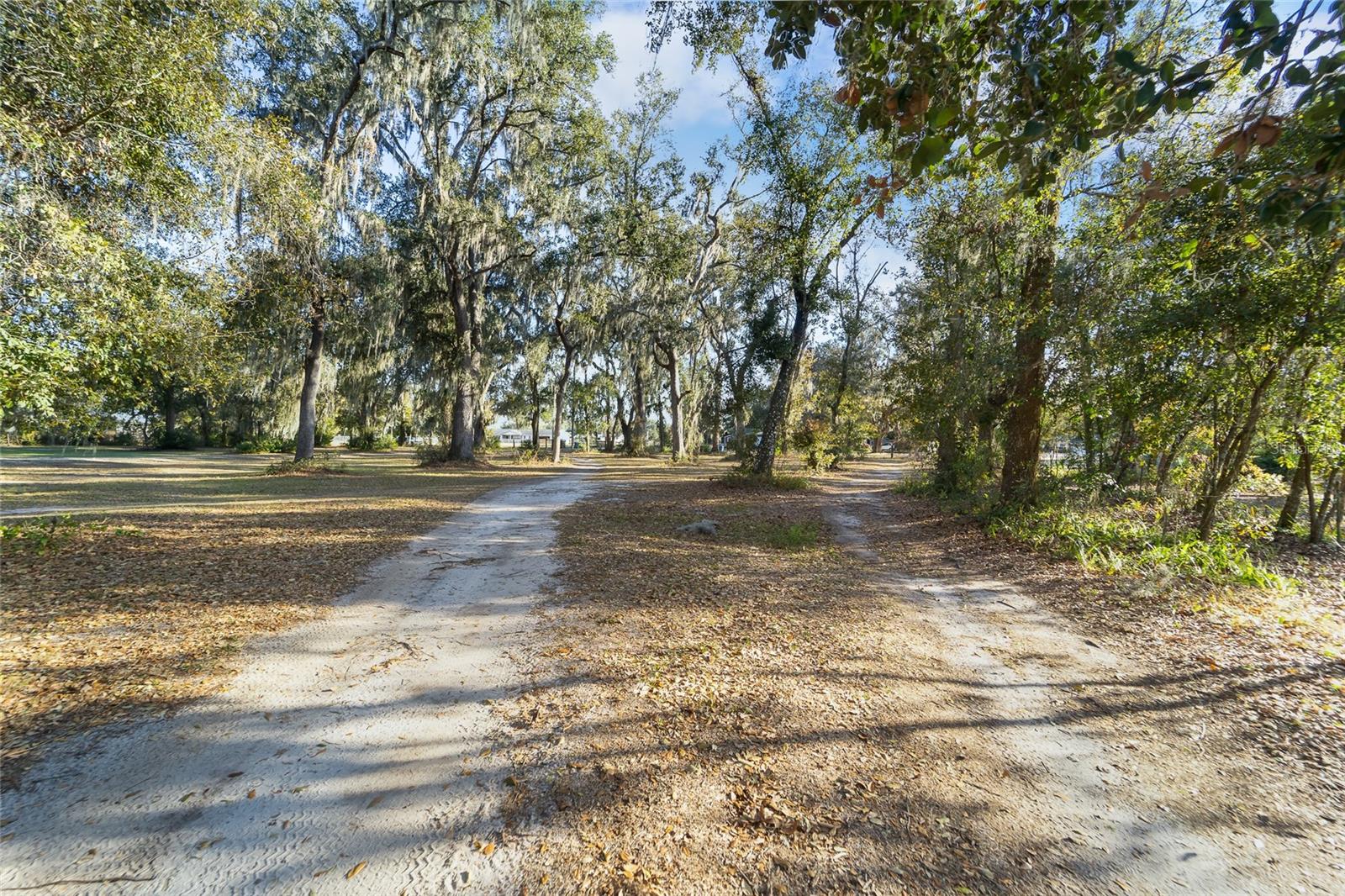 3007 Owls Nest Ln Property Photo 14