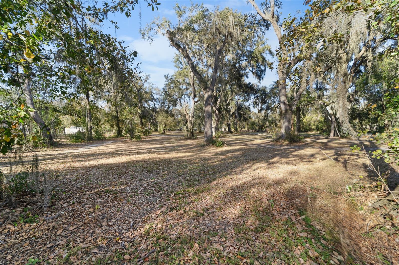 3007 Owls Nest Ln Property Photo 16