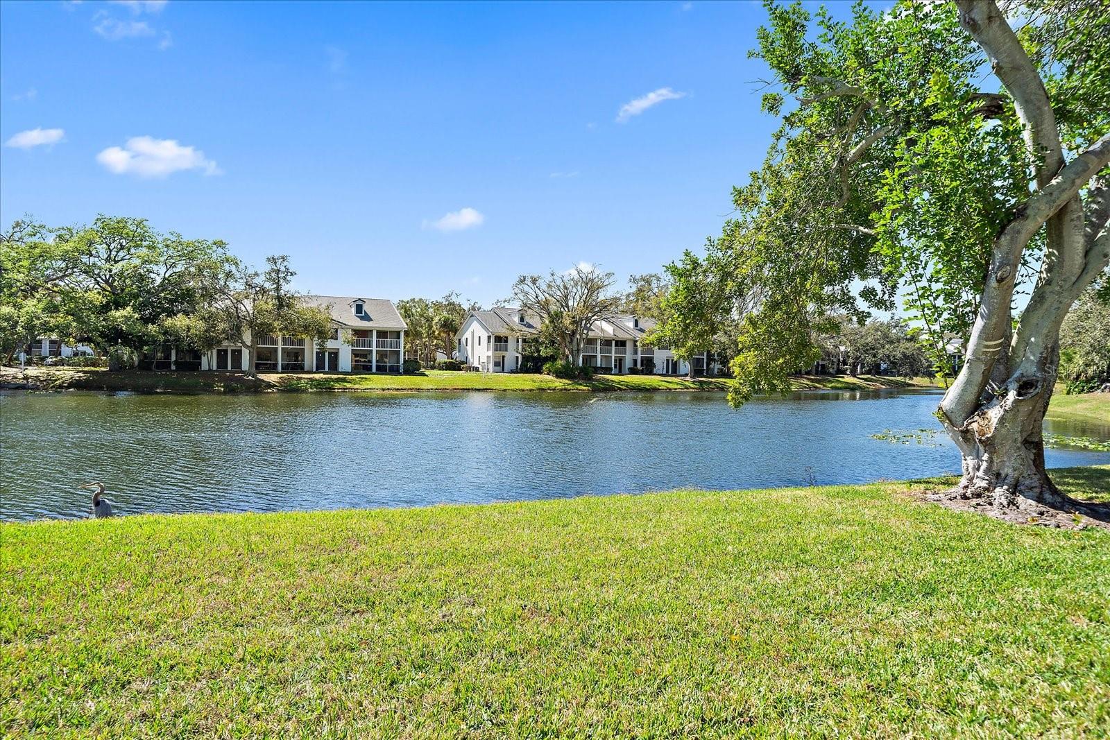 5654 Gardens Dr Property Photo 5