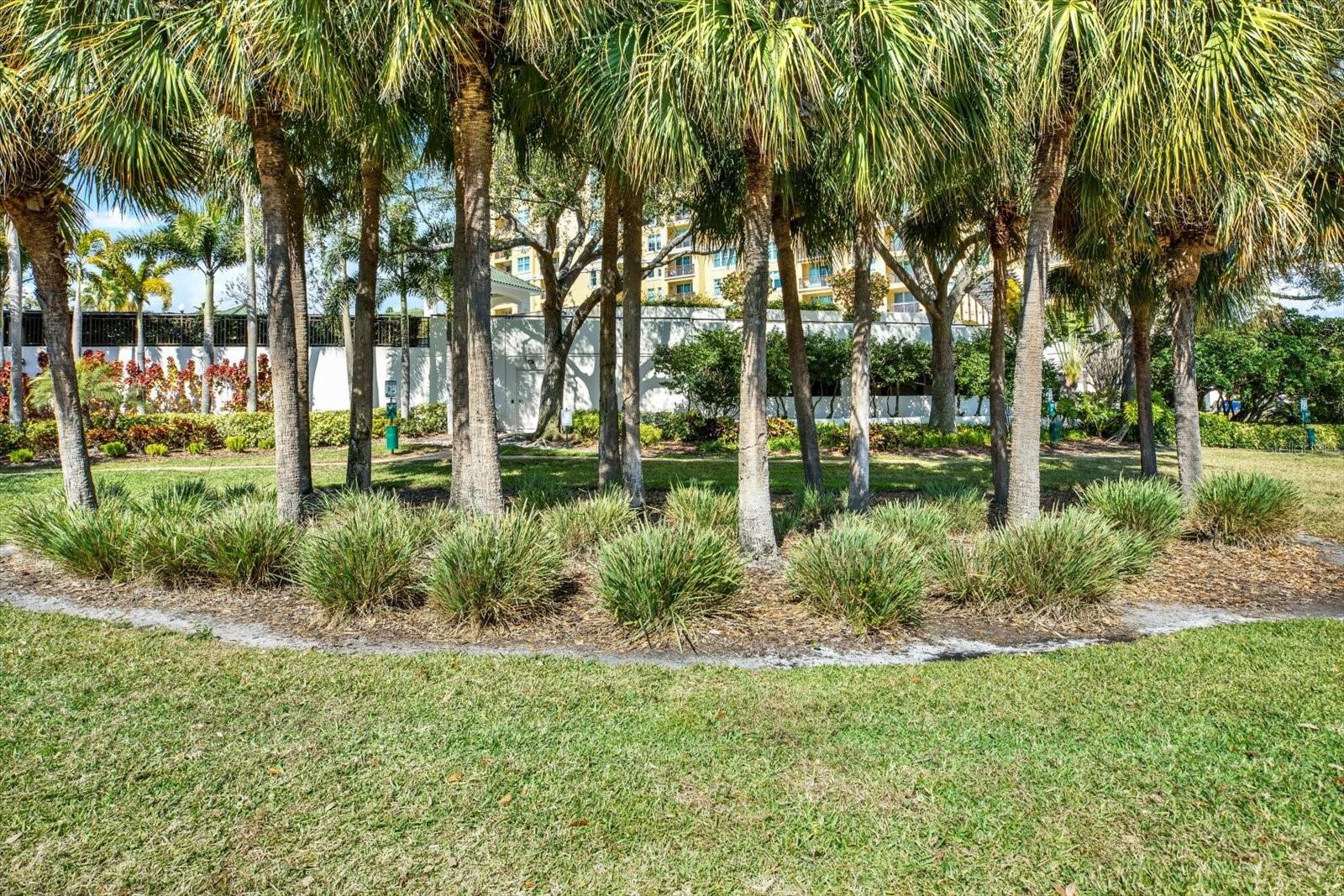 345 Bayshore Blvd #302 Property Photo 42