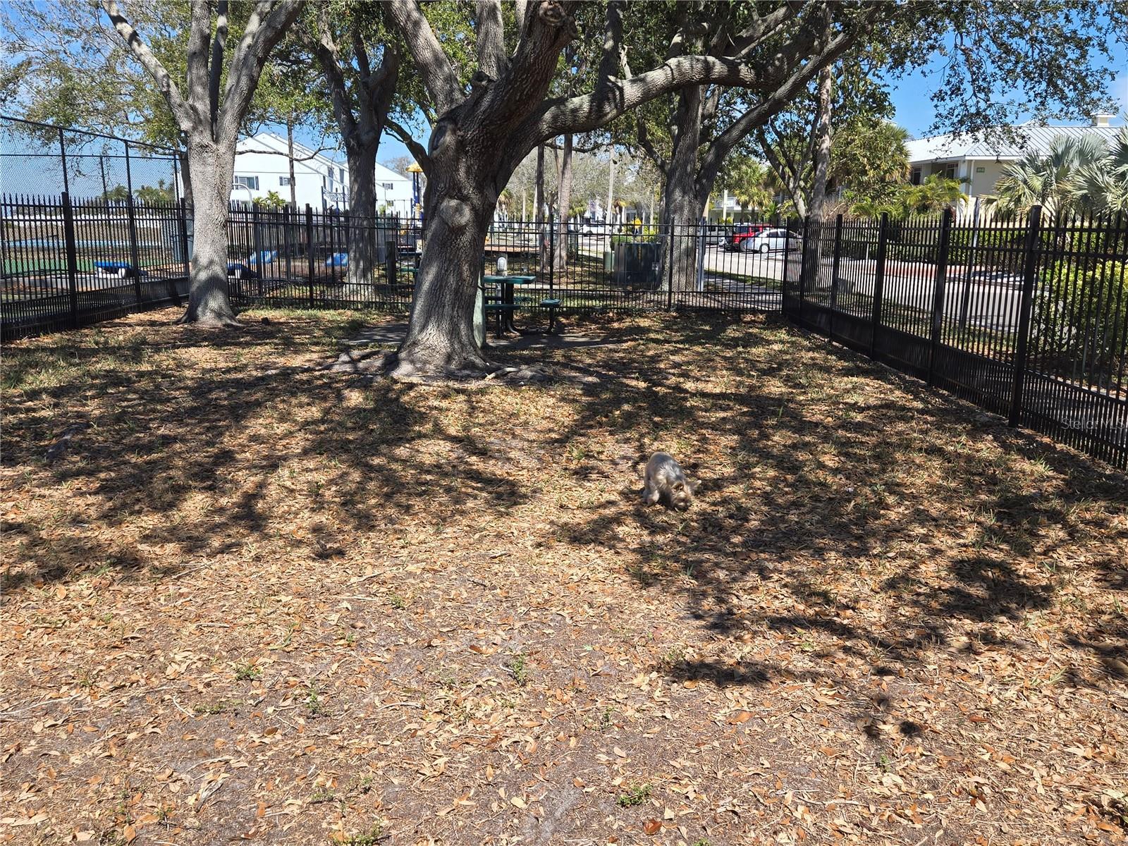 611 Destiny Dr #101 Property Photo 26