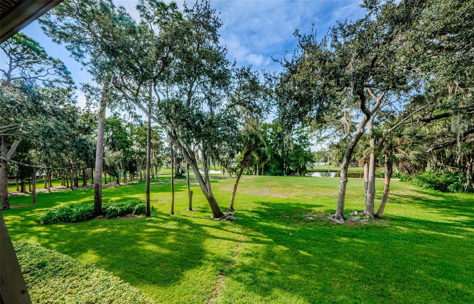 36750 Us Highway 19 N #2177 Property Photo 2
