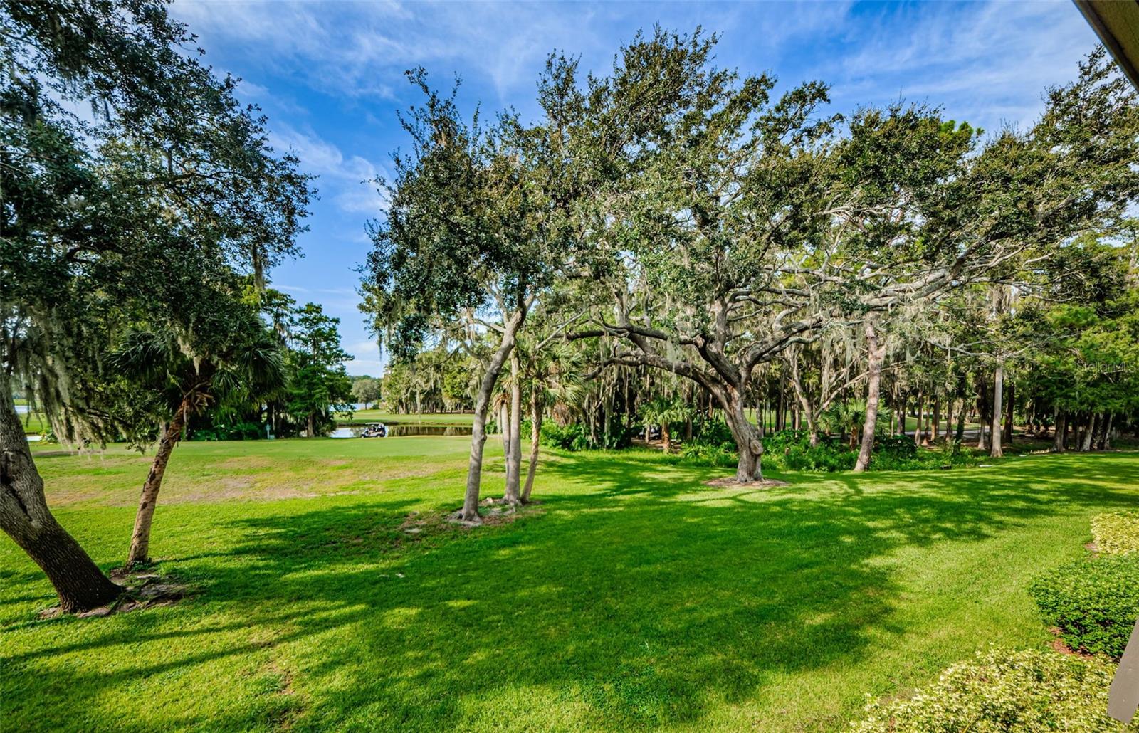 36750 Us Highway 19 N #2177 Property Photo 3