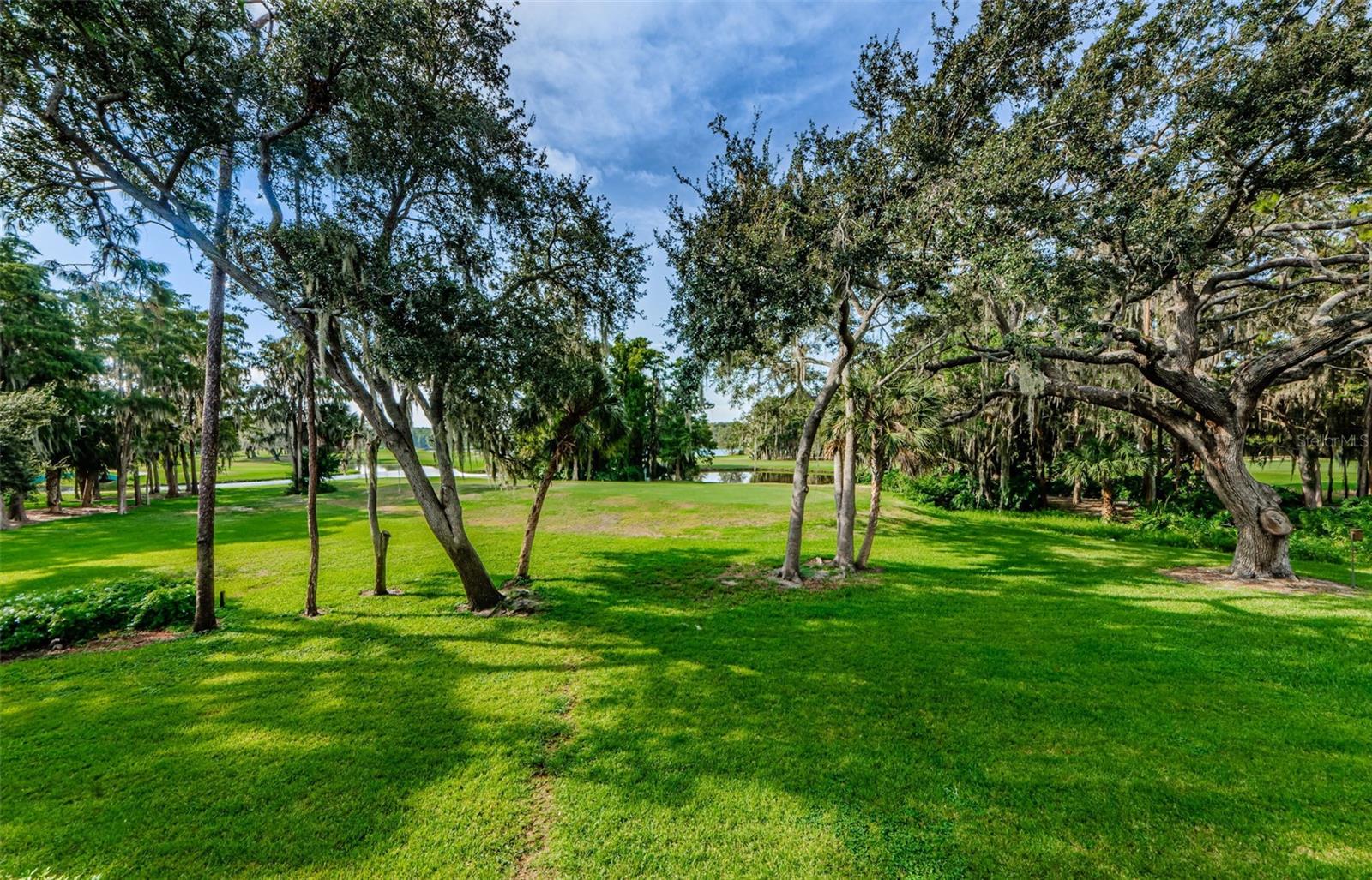 36750 Us Highway 19 N #2177 Property Photo 4