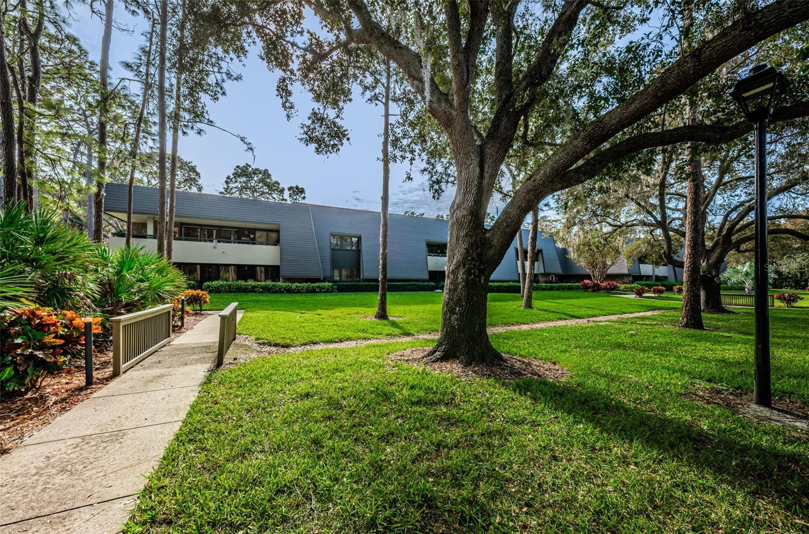 36750 Us Highway 19 N #2177 Property Photo 41