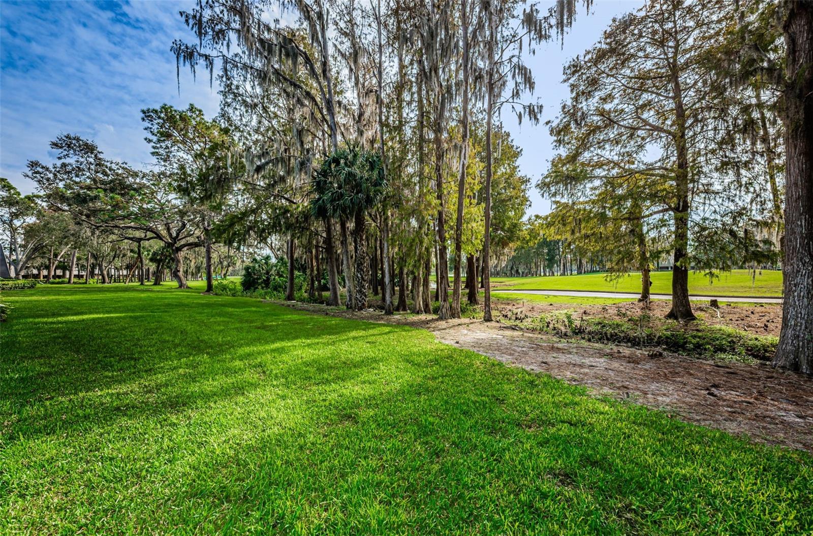 36750 Us Highway 19 N #2177 Property Photo 50