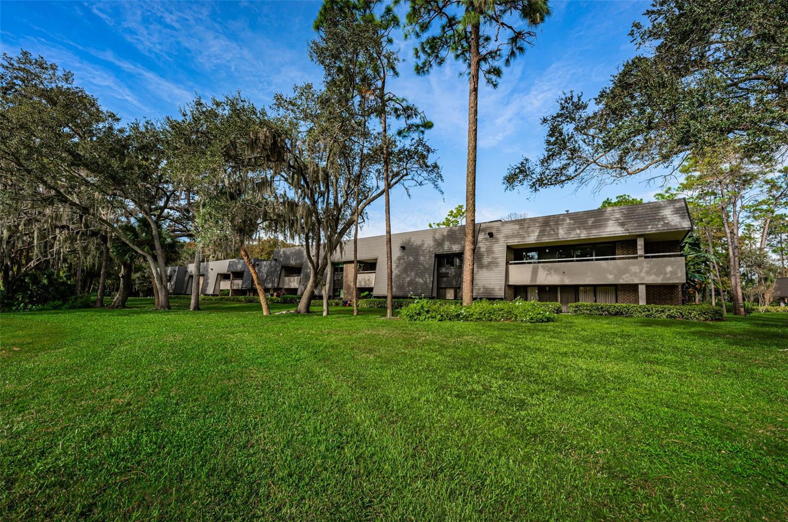 36750 Us Highway 19 N #2177 Property Photo 52