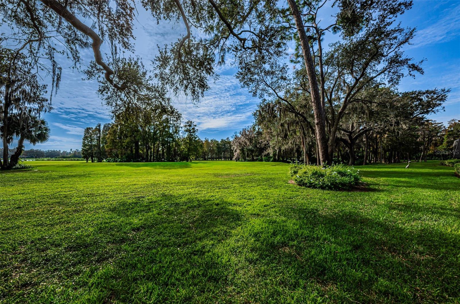 36750 Us Highway 19 N #2177 Property Photo 53