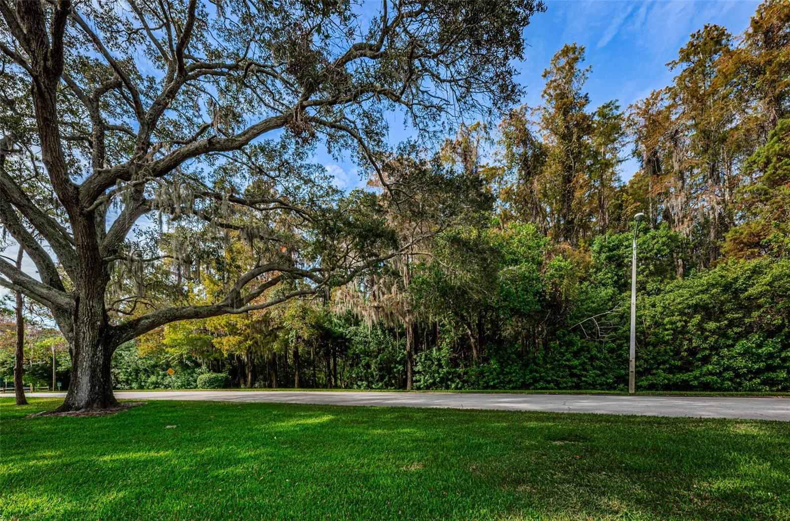 36750 Us Highway 19 N #2177 Property Photo 55