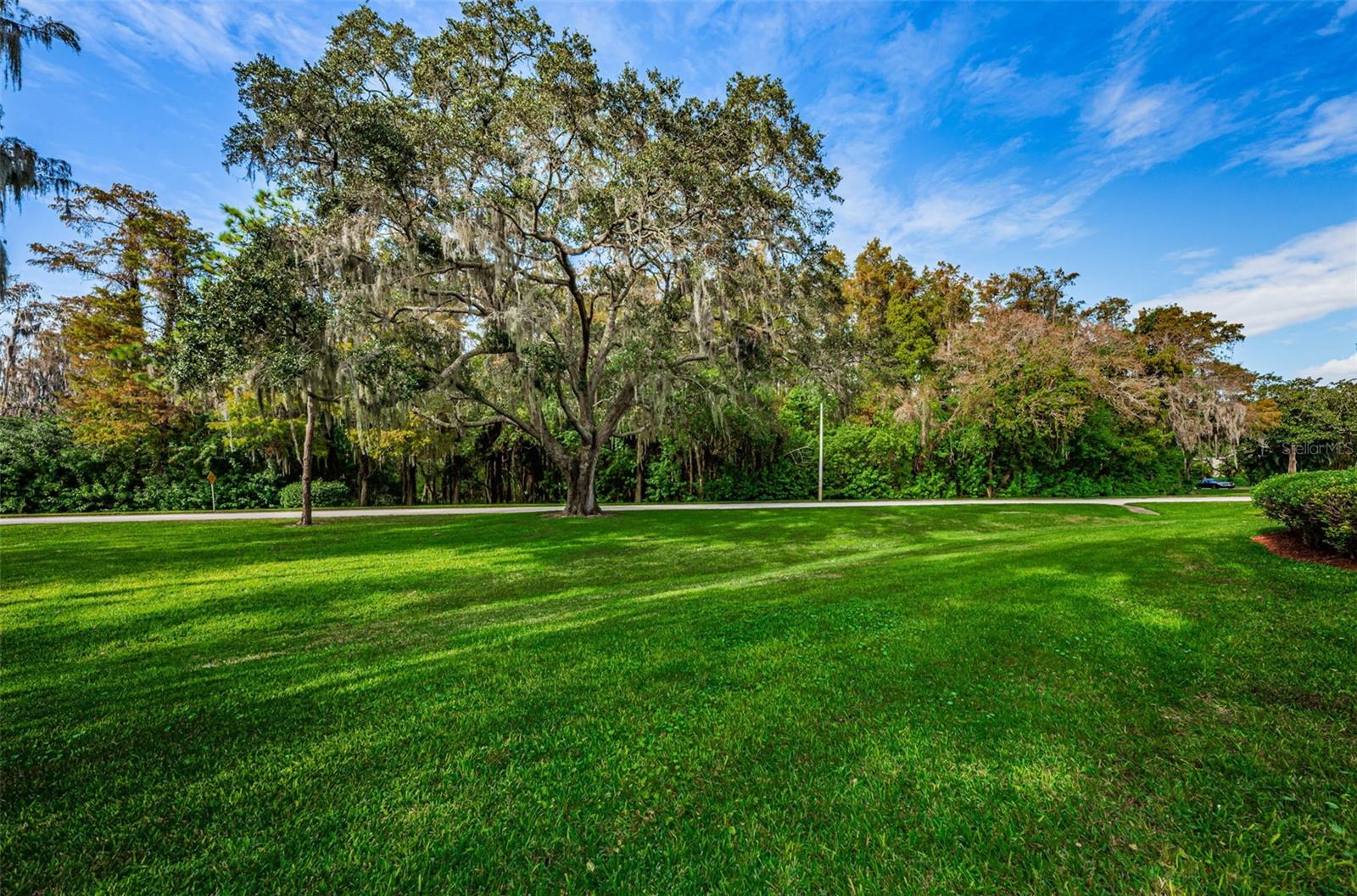 36750 Us Highway 19 N #2177 Property Photo 56