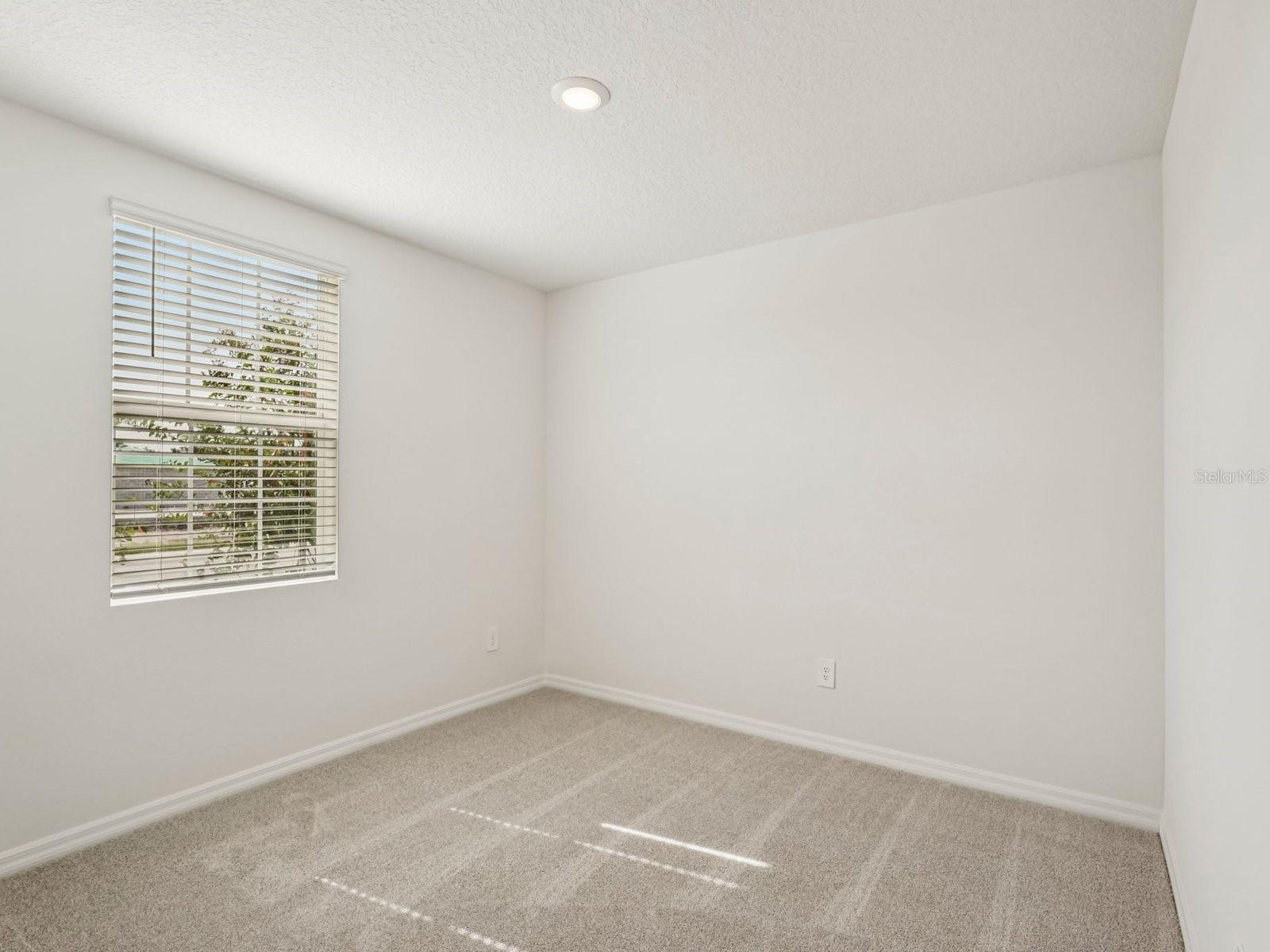 10432 Abundance Grove Way Property Photo 9