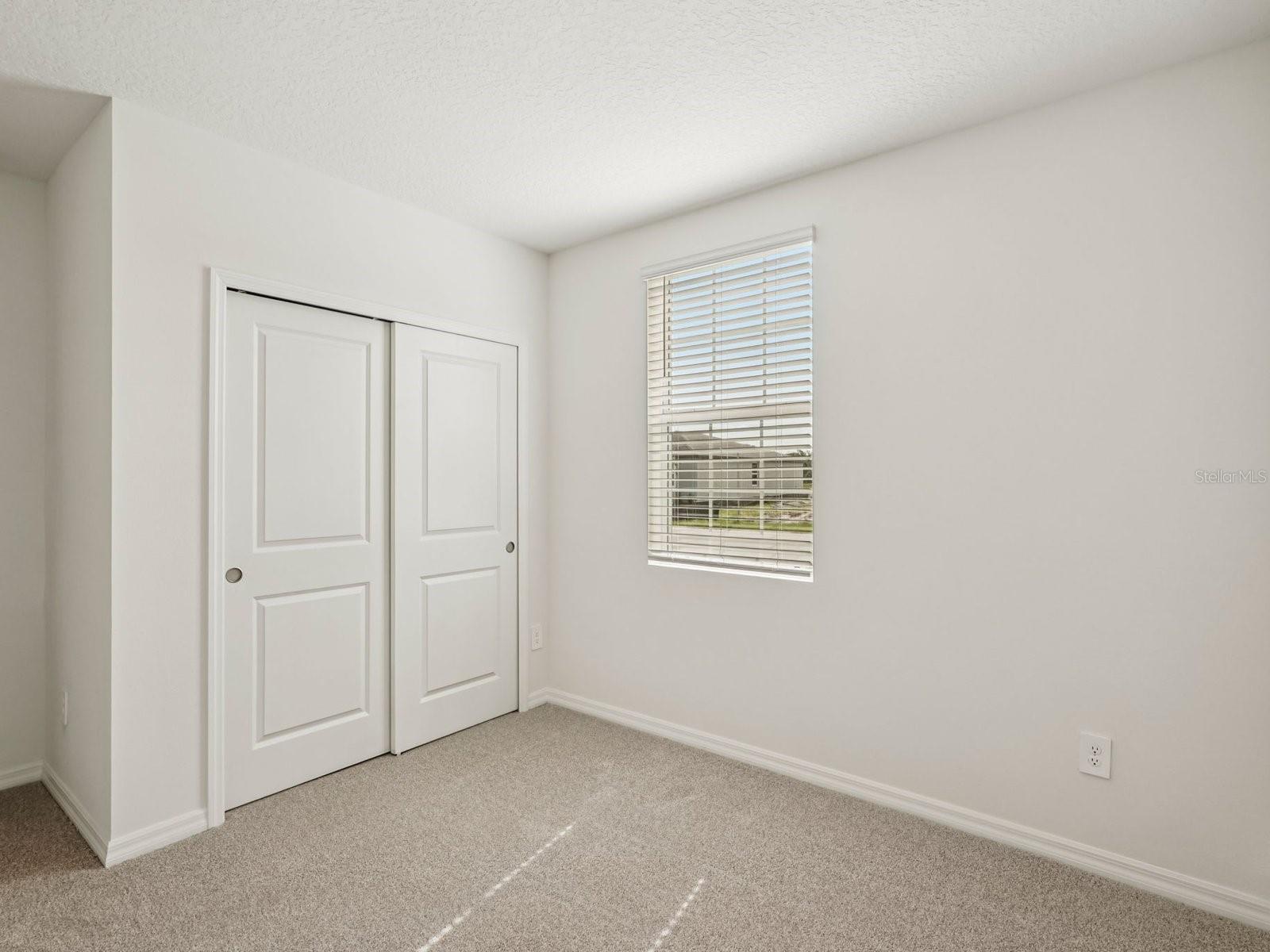 10432 Abundance Grove Way Property Photo 10