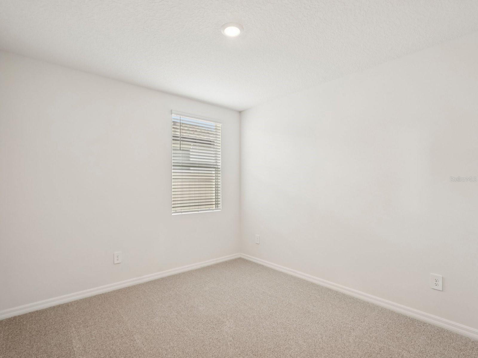 10432 Abundance Grove Way Property Photo 12