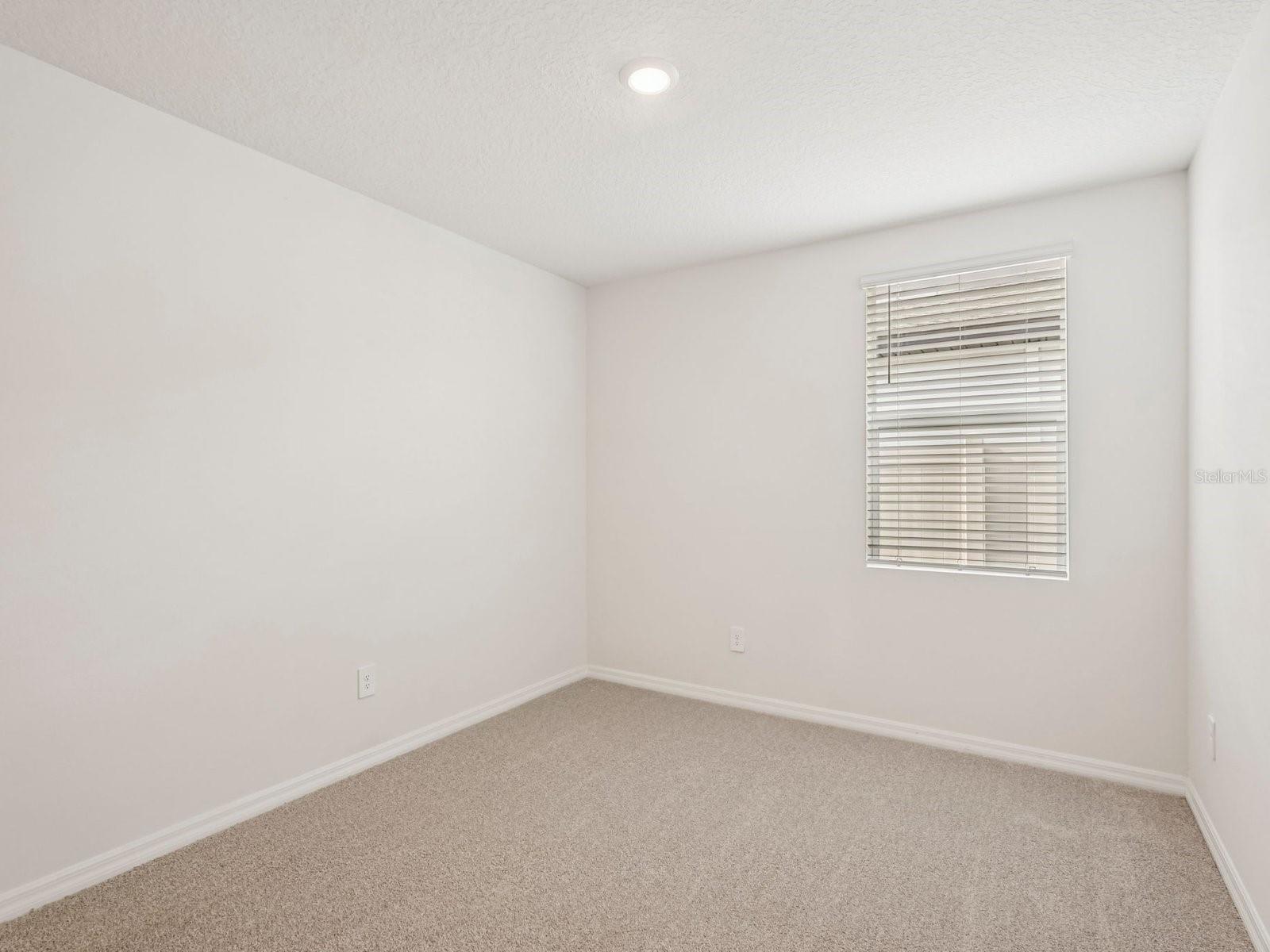 10432 Abundance Grove Way Property Photo 14