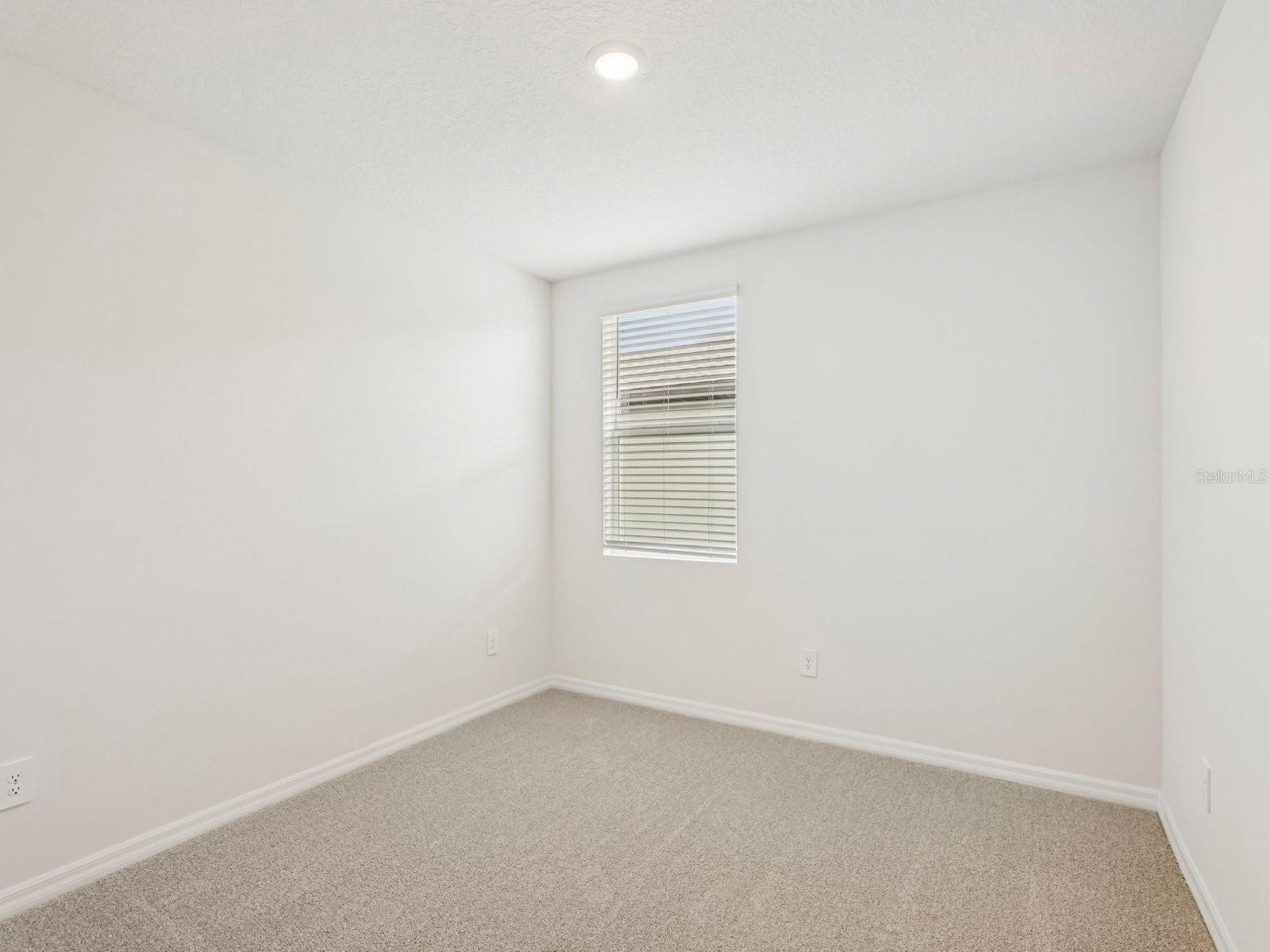 10432 Abundance Grove Way Property Photo 15