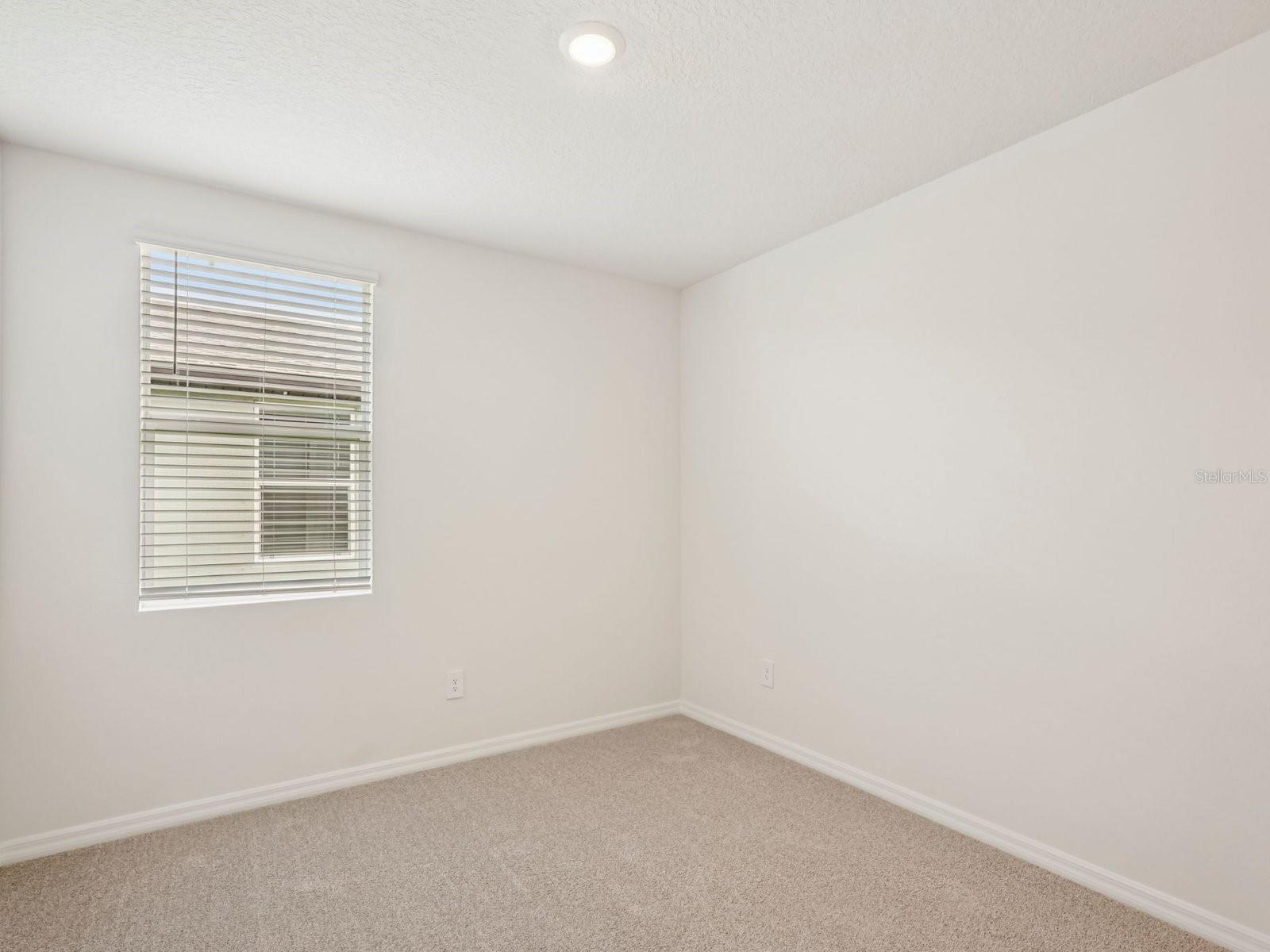 10432 Abundance Grove Way Property Photo 17