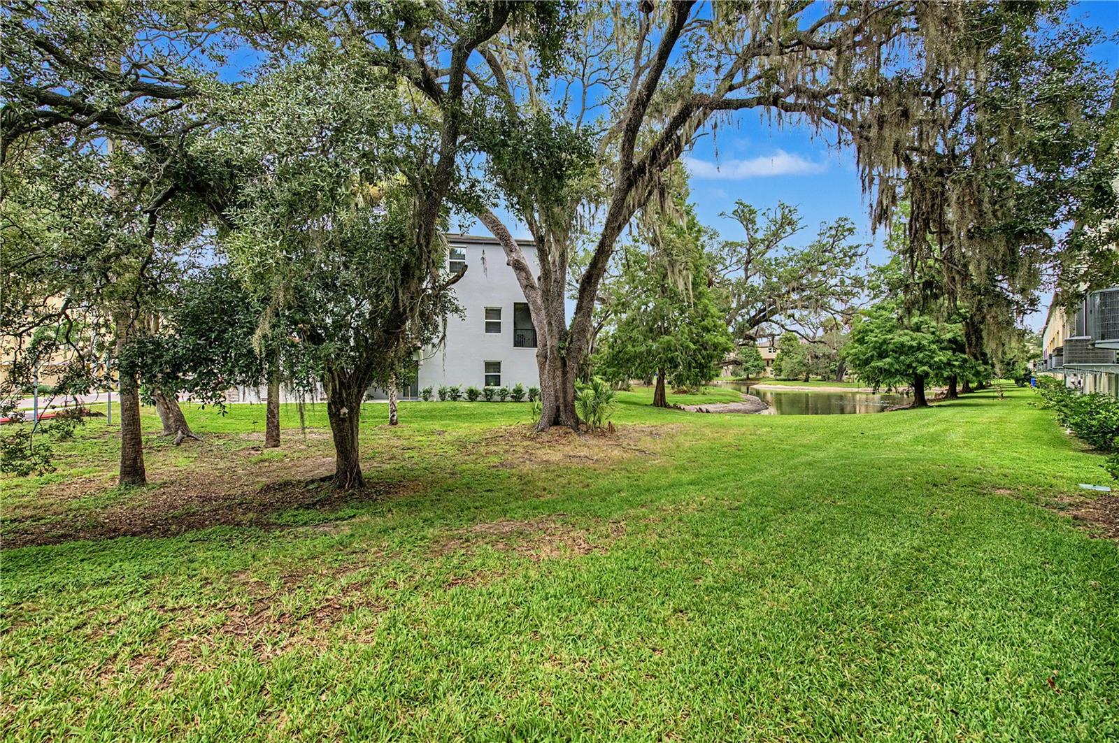 4607 Tuscan Loon Dr Property Photo 20