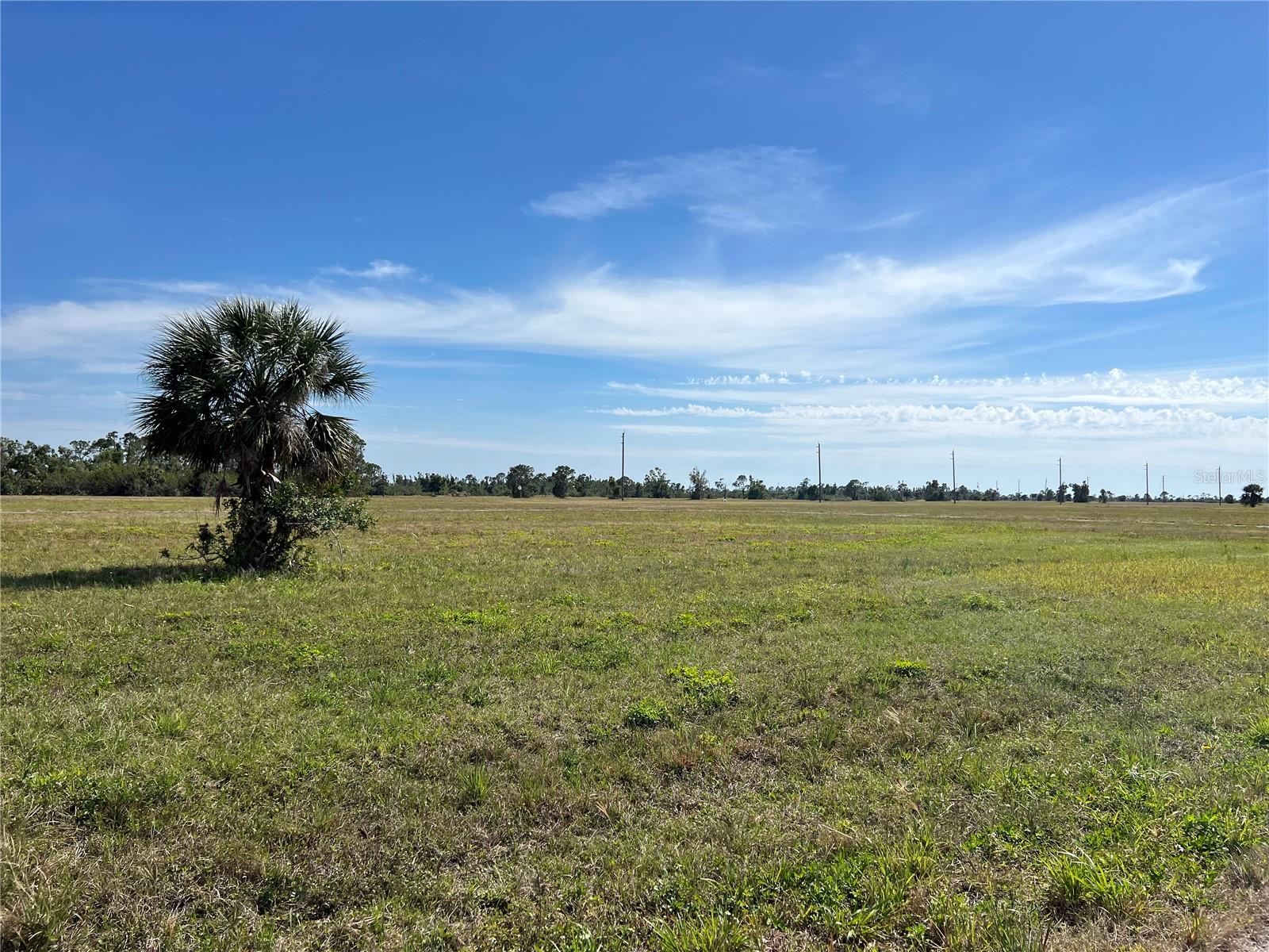 12386 Greenling Way Property Photo 5