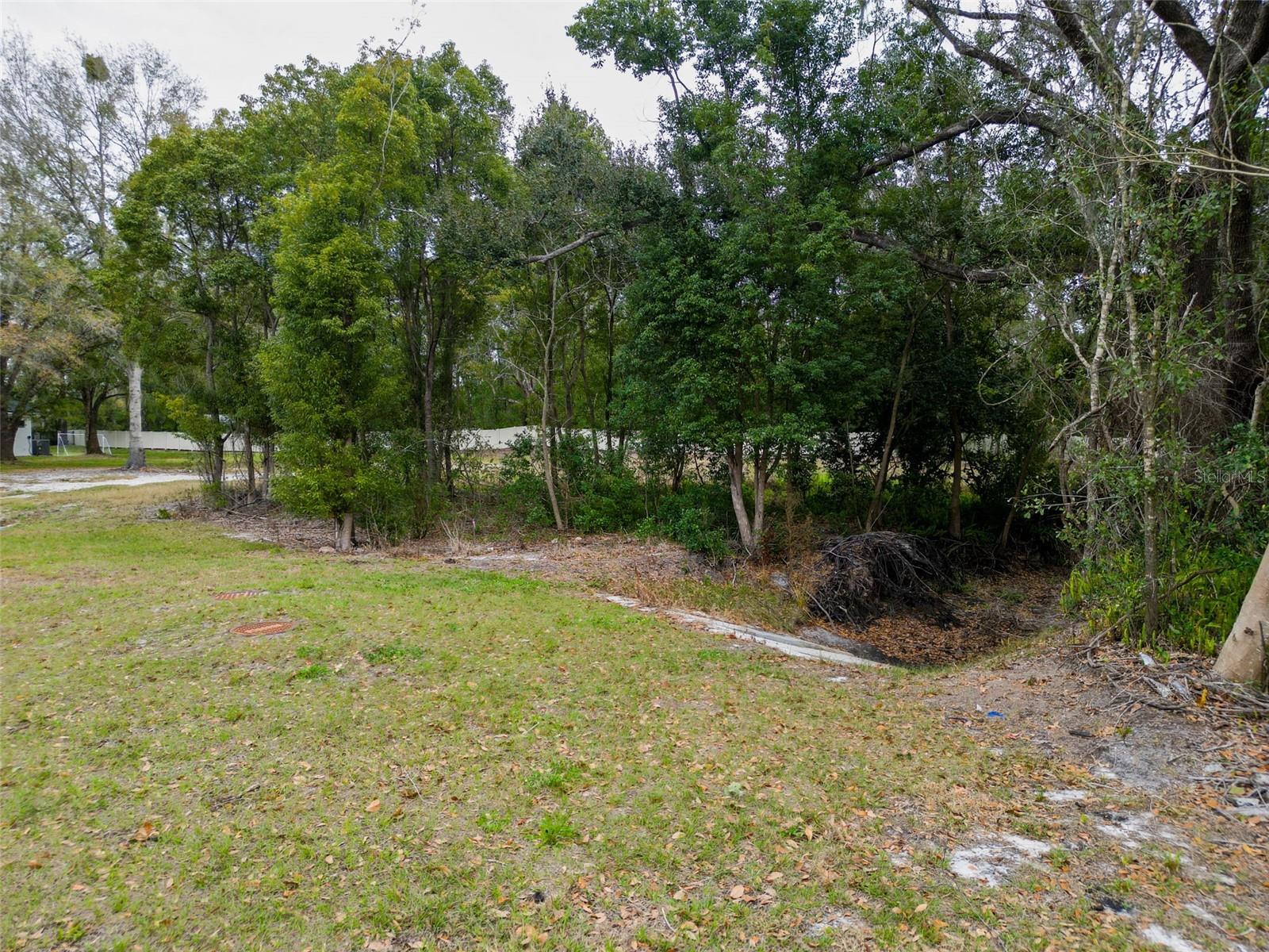 18469 Purple Creek Ln Property Photo 8