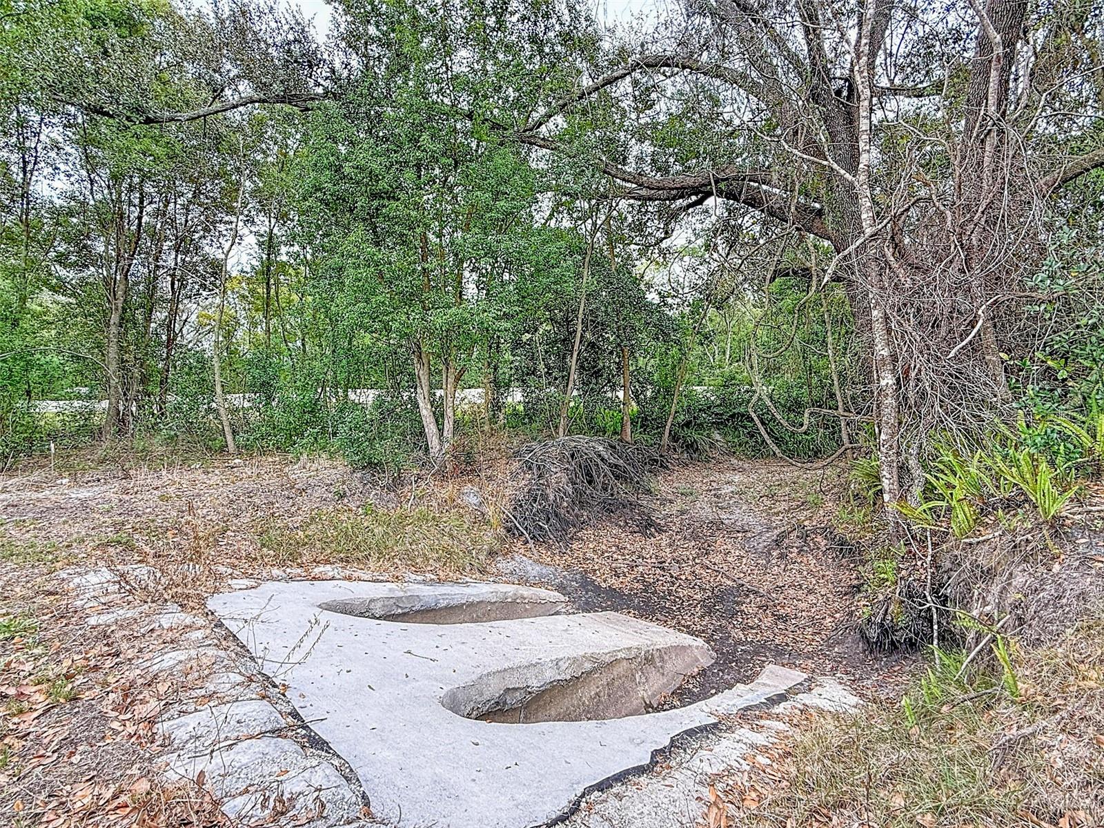 18469 Purple Creek Ln Property Photo 12