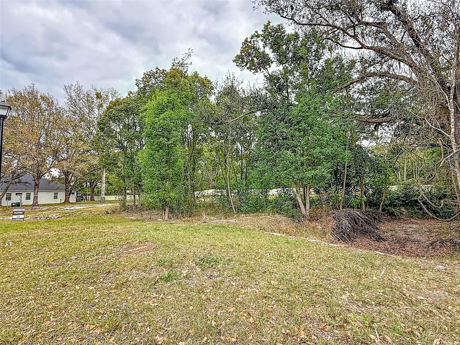 18469 Purple Creek Ln Property Photo 13