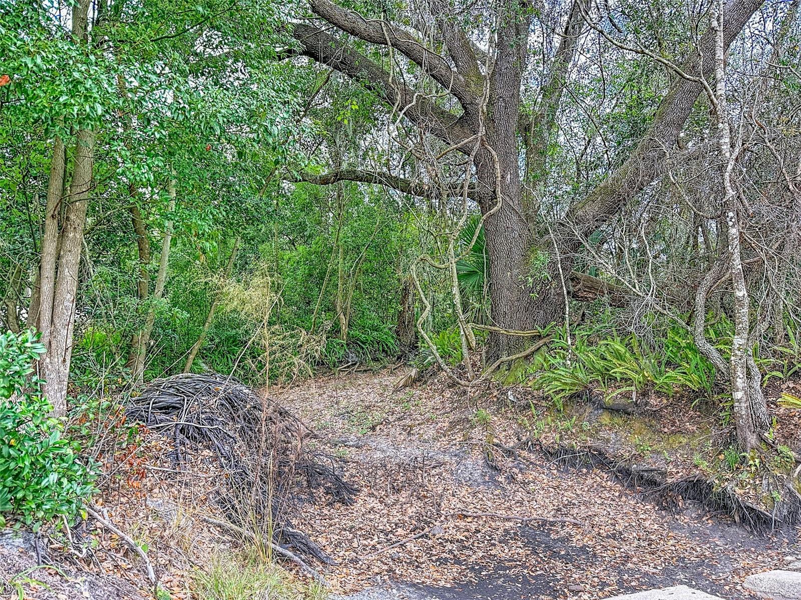 18469 Purple Creek Ln Property Photo 14