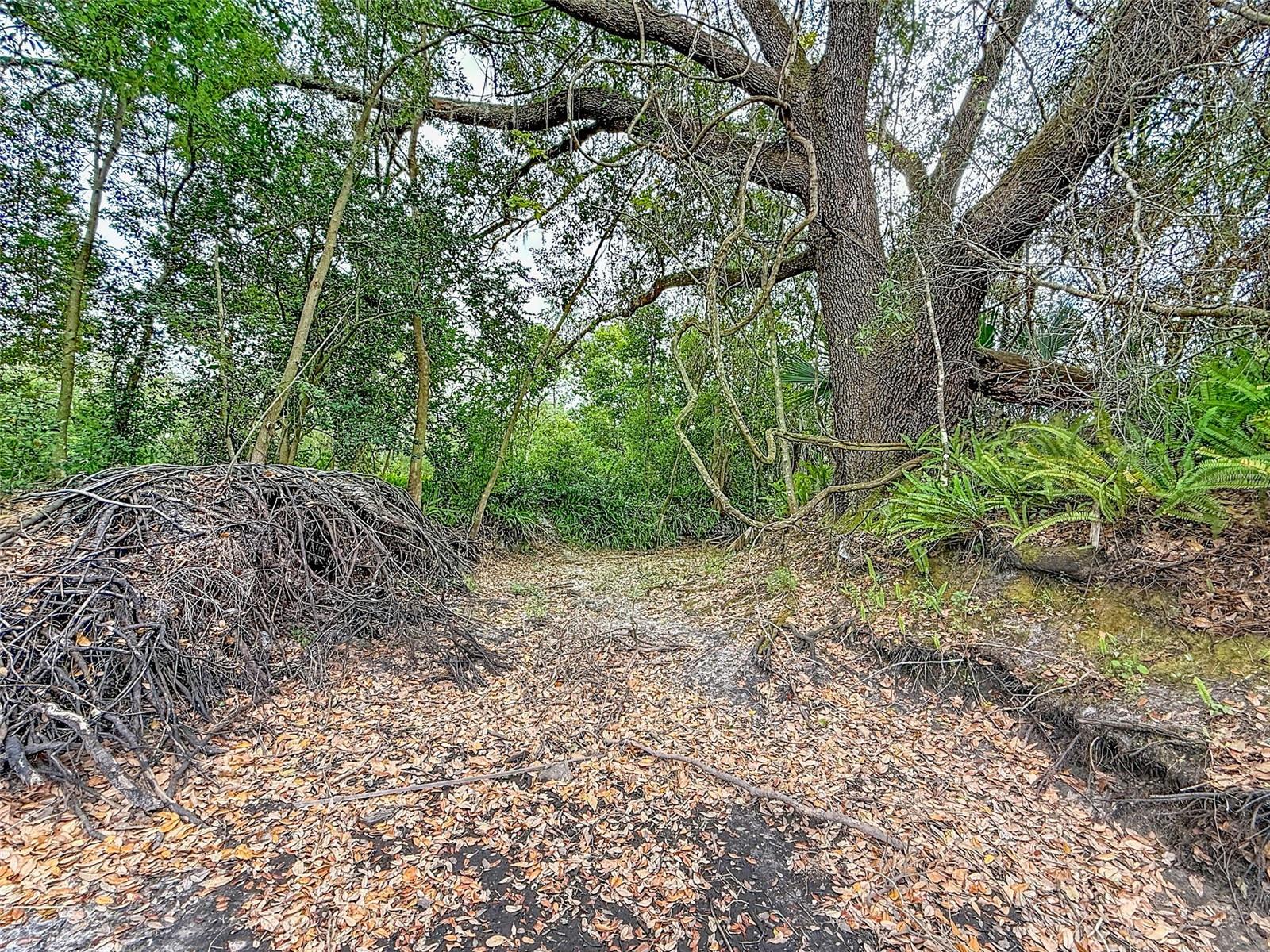 18469 Purple Creek Ln Property Photo 15