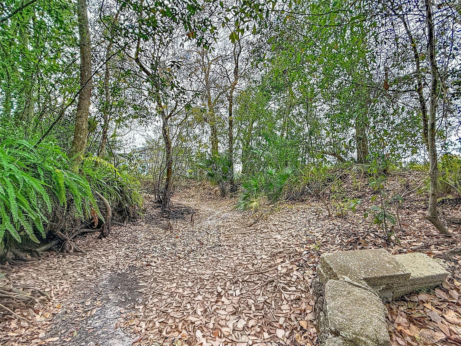 18469 Purple Creek Ln Property Photo 16