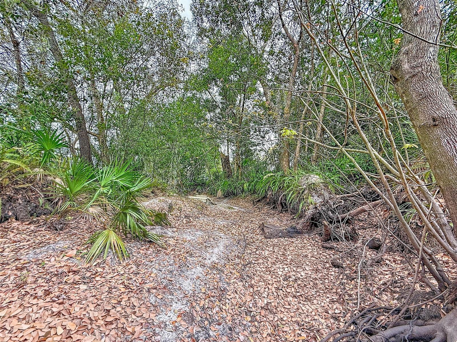 18469 Purple Creek Ln Property Photo 17